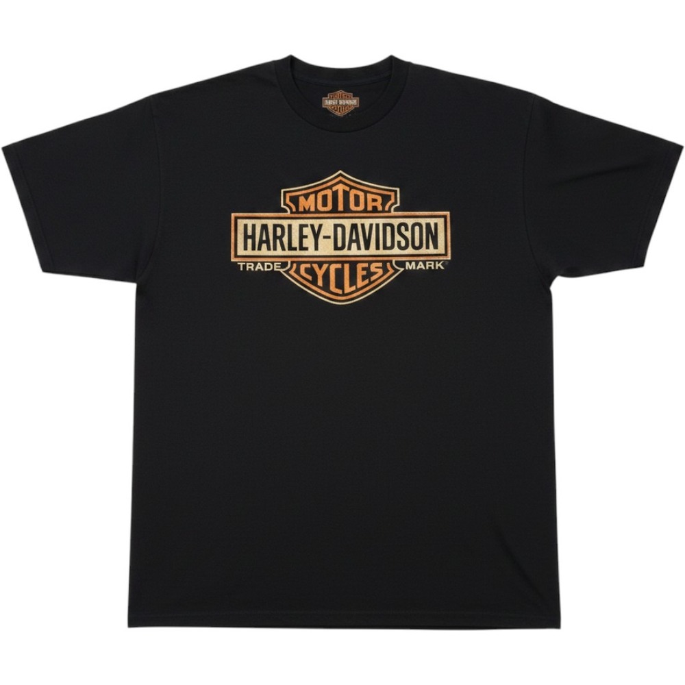 Harley-Davidson Mens 3XL Wisconsin Oconomowoc Graphic Tee Black Vintage Look